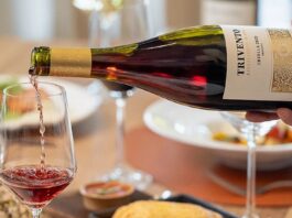 Trivento invita a vivir el invierno mendocino entre vino y gastronomía