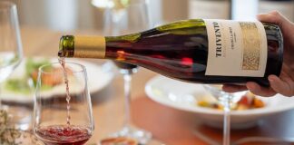 Trivento invita a vivir el invierno mendocino entre vino y gastronomía