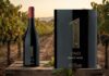 UNO Pinot Noir: dos orígenes del Valle de Uco en una expresión elegante y precisa