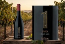 UNO Pinot Noir: dos orígenes del Valle de Uco en una expresión elegante y precisa