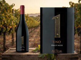 UNO Pinot Noir: dos orígenes del Valle de Uco en una expresión elegante y precisa