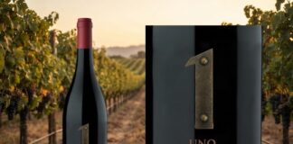 UNO Pinot Noir: dos orígenes del Valle de Uco en una expresión elegante y precisa