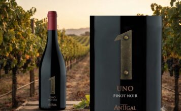 UNO Pinot Noir: dos orígenes del Valle de Uco en una expresión elegante y precisa