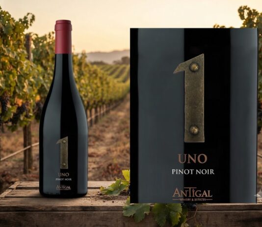 UNO Pinot Noir: dos orígenes del Valle de Uco en una expresión elegante y precisa