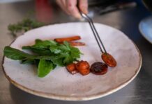 Mendoza: Llega el 7° Foro de Origen e Identidad Gastronómica