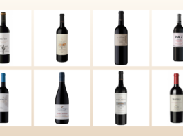 Ocho Cabernet Sauvignon de distintas provincias para celebrar la variedad que marcó la historia del vino en Argentina