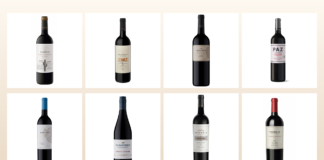 Ocho Cabernet Sauvignon de distintas provincias para celebrar la variedad que marcó la historia del vino en Argentina