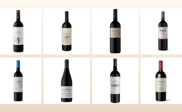 Ocho Cabernet Sauvignon de distintas provincias para celebrar la variedad que marcó la historia del vino en Argentina