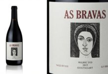 El vino de Alejandro Vigil “As Bravas Malbec Gualtallary 2019” logró los 100 Puntos Parker
