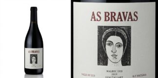 El vino de Alejandro Vigil “As Bravas Malbec Gualtallary 2019” logró los 100 Puntos Parker