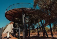 Luigi Bosca fue distinguida con el Oro en los Bestof Wine Tourism por su experiencia Raíces