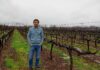 Francisco Smon: “Conocer de manera acabada el destino de la uva es la clave para gestionar la diversidad de Trapiche”