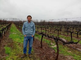 Francisco Smon: “Conocer de manera acabada el destino de la uva es la clave para gestionar la diversidad de Trapiche”
