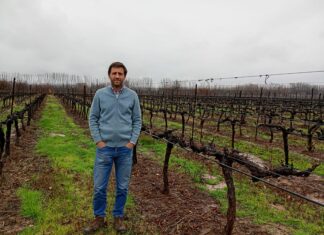 Francisco Smon: “Conocer de manera acabada el destino de la uva es la clave para gestionar la diversidad de Trapiche”