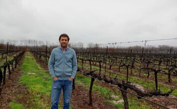 Francisco Smon: “Conocer de manera acabada el destino de la uva es la clave para gestionar la diversidad de Trapiche”