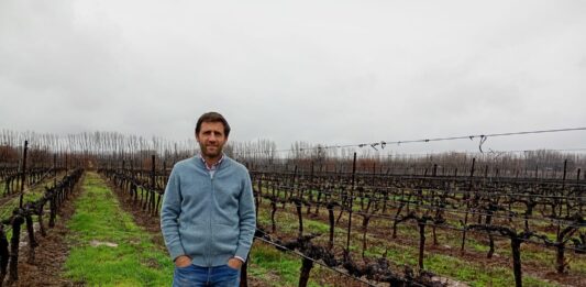 Francisco Smon: “Conocer de manera acabada el destino de la uva es la clave para gestionar la diversidad de Trapiche”