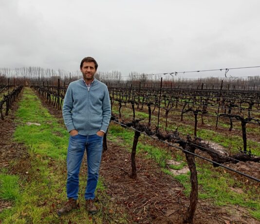 Francisco Smon: “Conocer de manera acabada el destino de la uva es la clave para gestionar la diversidad de Trapiche”