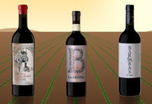 Día Mundial del Cabernet Sauvignon, el rey de las uvas tintas