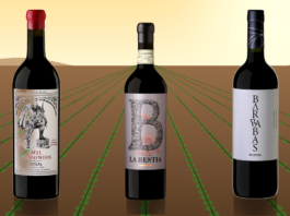 Día Mundial del Cabernet Sauvignon, el rey de las uvas tintas