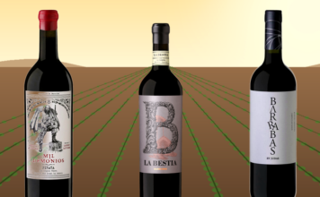 Día Mundial del Cabernet Sauvignon, el rey de las uvas tintas