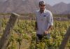 Cosecha de Excelencia: Bodega El Esteco celebra la Semana del Torrontés de la mano de su sello identitario