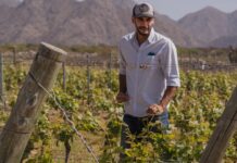 Cosecha de Excelencia: Bodega El Esteco celebra la Semana del Torrontés de la mano de su sello identitario