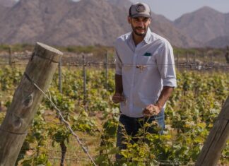 Cosecha de Excelencia: Bodega El Esteco celebra la Semana del Torrontés de la mano de su sello identitario