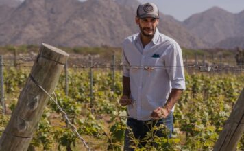 Cosecha de Excelencia: Bodega El Esteco celebra la Semana del Torrontés de la mano de su sello identitario