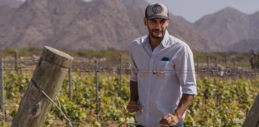 Cosecha de Excelencia: Bodega El Esteco celebra la Semana del Torrontés de la mano de su sello identitario