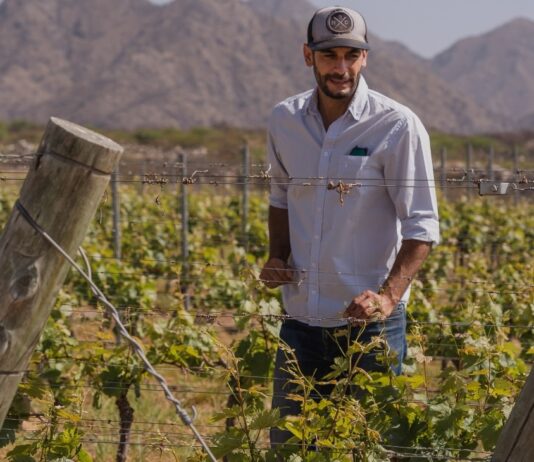 Cosecha de Excelencia: Bodega El Esteco celebra la Semana del Torrontés de la mano de su sello identitario