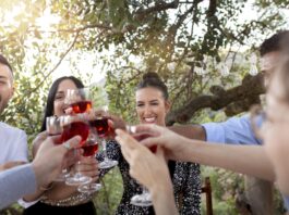 Ocho vinos frescos argentinos para celebrar la primavera