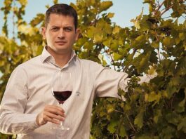 Sergio Pomar vuelve a Bodegas Bianchi para dirigir el equipo de enología