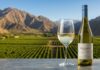 En la Semana del torrontés, Don David amplía su línea con una propuesta bajo alcohol