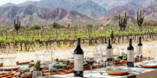 El Esteco celebra el Merlot con una expresión de altura de Chañar Punco