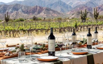 El Esteco celebra el Merlot con una expresión de altura de Chañar Punco