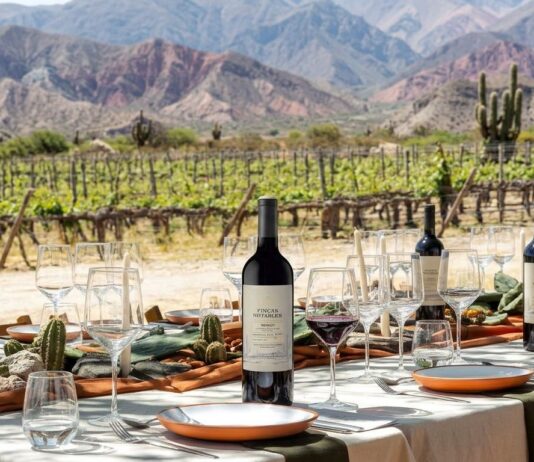 El Esteco celebra el Merlot con una expresión de altura de Chañar Punco