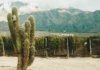 COPROVI: el trabajo colaborativo y la unión de los profesionales del vino que impulsan la identidad de los valles Calchaquíes