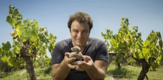 Alejandro Vigil alcanza los 100 puntos de Vinous con As Bravas Malbec El Cepillo 2019