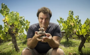 Alejandro Vigil alcanza los 100 puntos de Vinous con As Bravas Malbec El Cepillo 2019